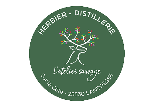 L'Atelier Sauvage - Herberie & Distillerie